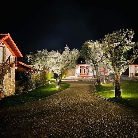 Penedo Village Marco de Canavezes Eksteriør bilde